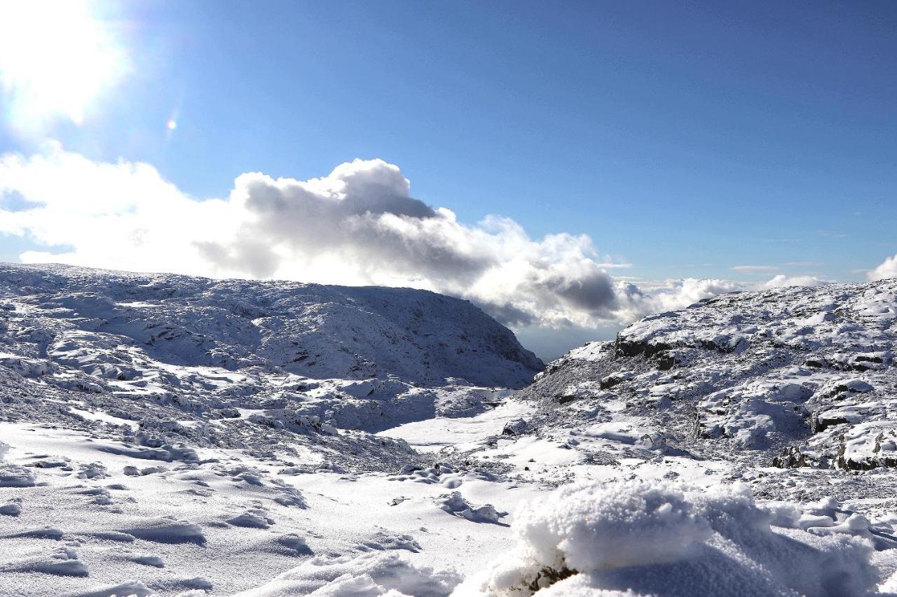 Encosta Do Sobreiro - Serra Da Estrela Villa Fornos de Algodres Eksteriør bilde