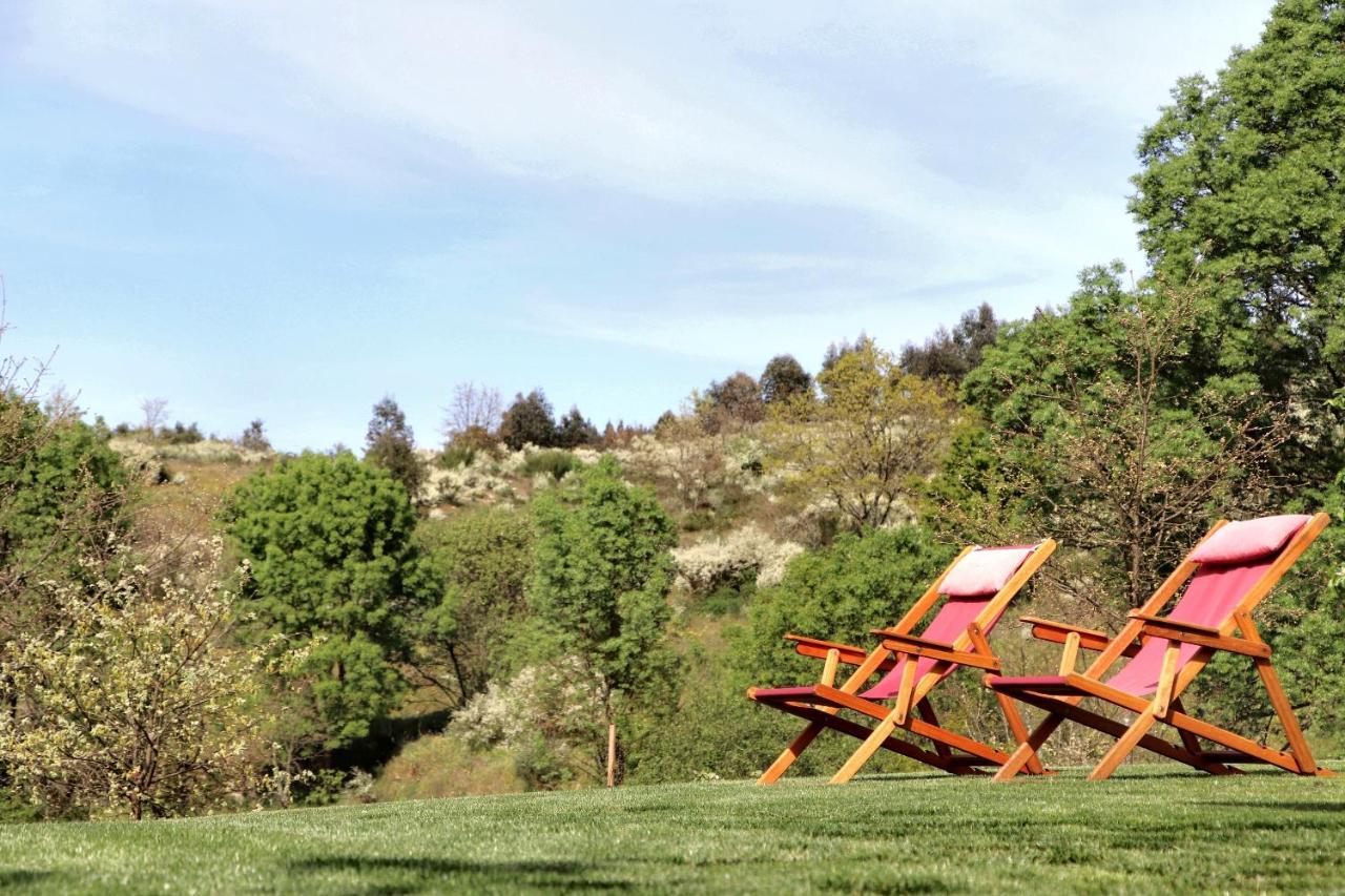 Encosta Do Sobreiro - Serra Da Estrela Villa Fornos de Algodres Eksteriør bilde